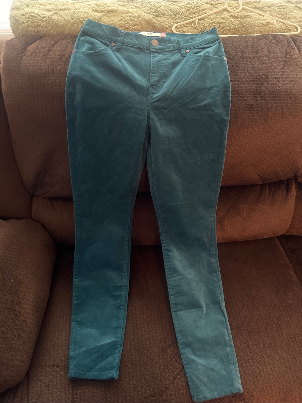 CAbi Teal Skinny Jeans